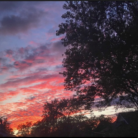 Meet your Posher, Sophia - Picture 1 of 1